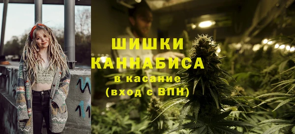 прущие грибы Арсеньев