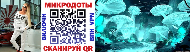 Псилоцибиновые грибы GOLDEN TEACHER Чегем